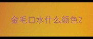 金毛口水什么颜色