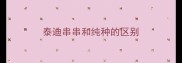 泰迪串串和纯种的区别