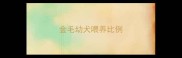 金毛幼犬喂养比例