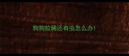 狗狗拉稀还有虫怎么办