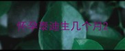 怀孕泰迪生几个月