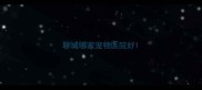 聊城哪家宠物医院好