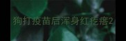 狗打疫苗后浑身红疙瘩