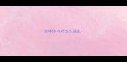 猫咪体内外怎么驱虫