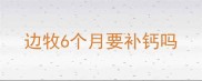 边牧6个月要补钙吗
