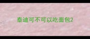 泰迪可不可以吃面包