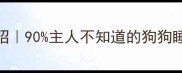 养成爱睡觉的小狗的5个妙招90主人不知道的狗狗睡眠训练法附睡眠周期表