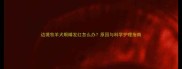 边境牧羊犬眼睛发红怎么办原因与科学护理指南