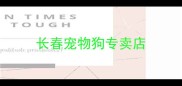 长春宠物狗专卖店