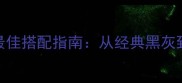 丁香色边牧最佳搭配指南从经典黑灰到时尚撞色全