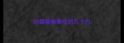 幼猫猫粮要吃到几个月