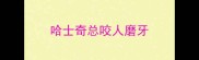 哈士奇总咬人磨牙