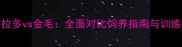 拉布拉多vs金毛全面对比饲养指南与训练技巧