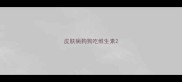 皮肤病狗狗吃维生素