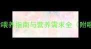 五个月大的狗狗一天喂几次科学喂养指南与营养需求全附喂食频率食物选择及健康贴士