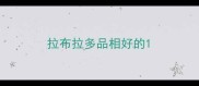 拉布拉多品相好的