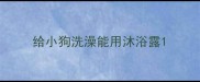 给小狗洗澡能用沐浴露