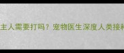 猫接种了狂犬疫苗后主人需要打吗宠物医生深度人类接种必要性及防护指南