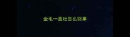 金毛一直吐怎么回事