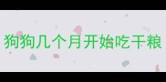狗狗几个月开始吃干粮
