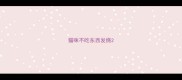 猫咪不吃东西发烧