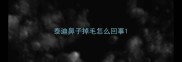 泰迪鼻子掉毛怎么回事