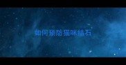 如何预防猫咪结石