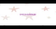拉布拉多幼犬眼粘膜