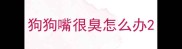 狗狗嘴很臭怎么办