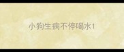 小狗生病不停喝水
