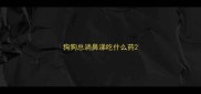 狗狗总淌鼻涕吃什么药