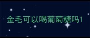 金毛可以喝葡萄糖吗