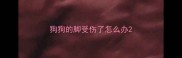 狗狗的脚受伤了怎么办