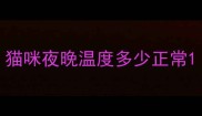猫咪夜晚温度多少正常