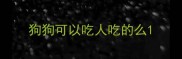 狗狗可以吃人吃的么