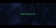 宠物龙猫空运价格