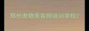 郑州宠物美容师培训学校