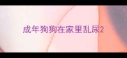 成年狗狗在家里乱尿