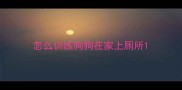 怎么训练狗狗在家上厕所