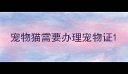 宠物猫需要办理宠物证
