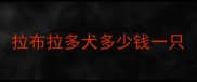 拉布拉多犬多少钱一只