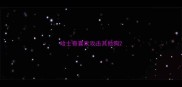 哈士奇喜欢攻击其他狗