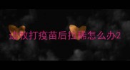 边牧打疫苗后拉稀怎么办