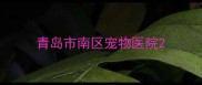 青岛市南区宠物医院