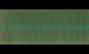 太原边牧繁殖基地全攻略新手养边牧必看的5大避坑指南附价格性格健康检测