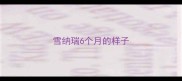 雪纳瑞6个月的样子