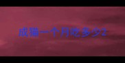 成猫一个月吃多少