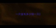 一只金毛多少钱一只