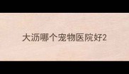 大沥哪个宠物医院好