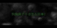 狗狗鼻子干凉怎么回事
